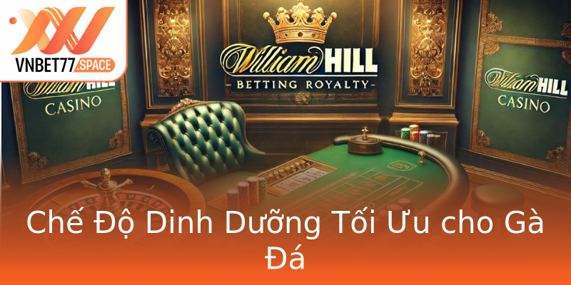 Chế Độ Dinh Dưỡng Tối Ưu cho Gà Đá