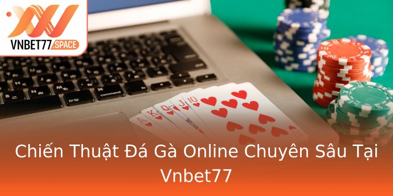 Chiến Thuật Đá Gà Online Chuyên Sâu Tại Vnbet77
