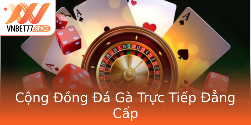 Cộng Đồng Đá Gà Trực Tiếp Đẳng Cấp