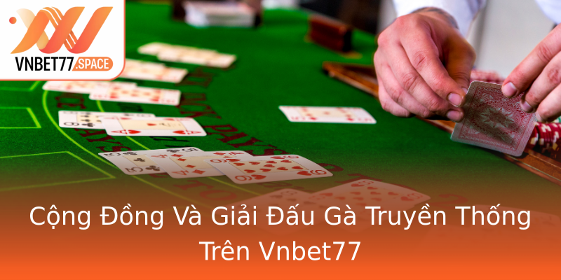 Cộng Đồng Và Giải Đấu Gà Truyền Thống Trên Vnbet77
