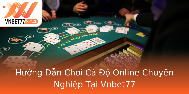 Hướng Dẫn Chơi Cá Độ Online Chuyên Nghiệp Tại Vnbet77