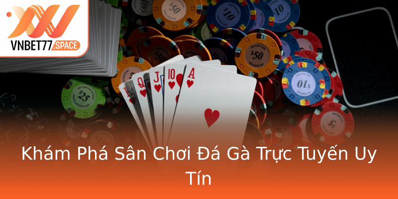 Khám Phá Sân Chơi Đá Gà Trực Tuyến Uy Tín
