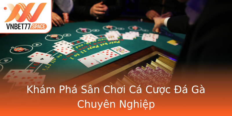 Khám Phá Sân Chơi Cá Cược Đá Gà Chuyên Nghiệp