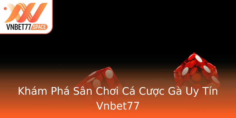 Khám Phá Sân Chơi Cá Cược Gà Uy Tín Vnbet77
