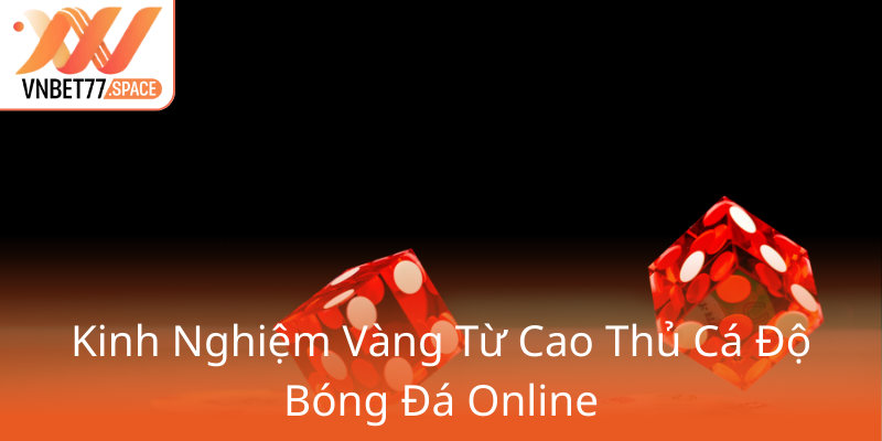 Kinh Nghiem Vang Tu Cao Thu Ca Do Bong Da Online0