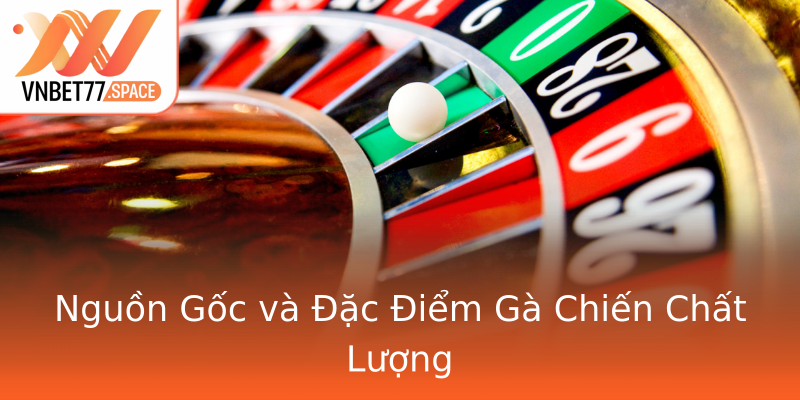 Nguồn Gốc và Đặc Điểm Gà Chiến Chất Lượng