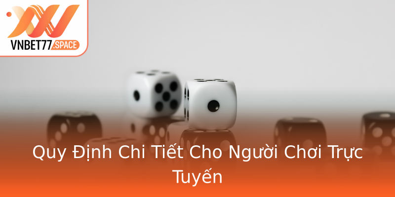 Quy Định Chi Tiết Cho Người Chơi Trực Tuyến