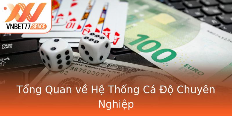Tổng Quan về Hệ Thống Cá Độ Chuyên Nghiệp