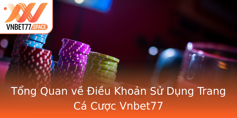 Tổng Quan về Điều Khoản Sử Dụng Trang Cá Cược Vnbet77